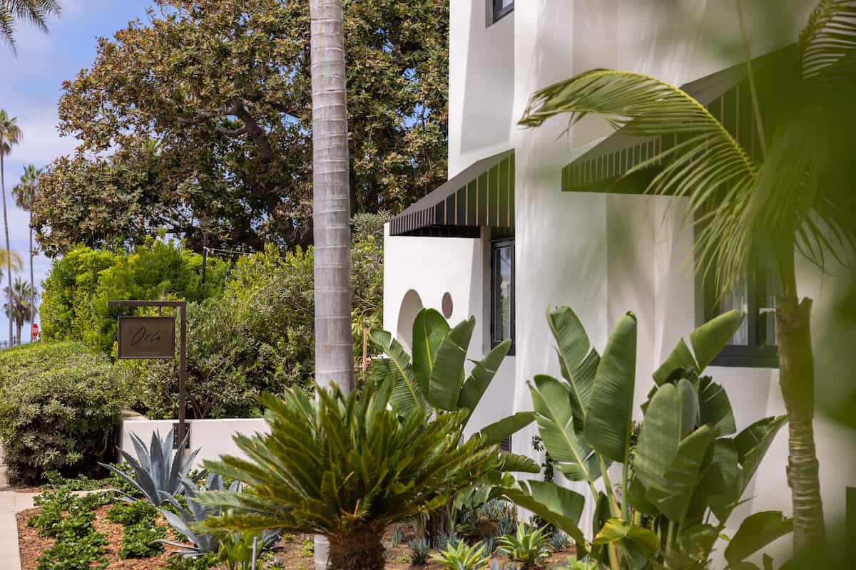 White stucco building partially hidden by lush tropical plants and palm trees in a serene coastal landscape