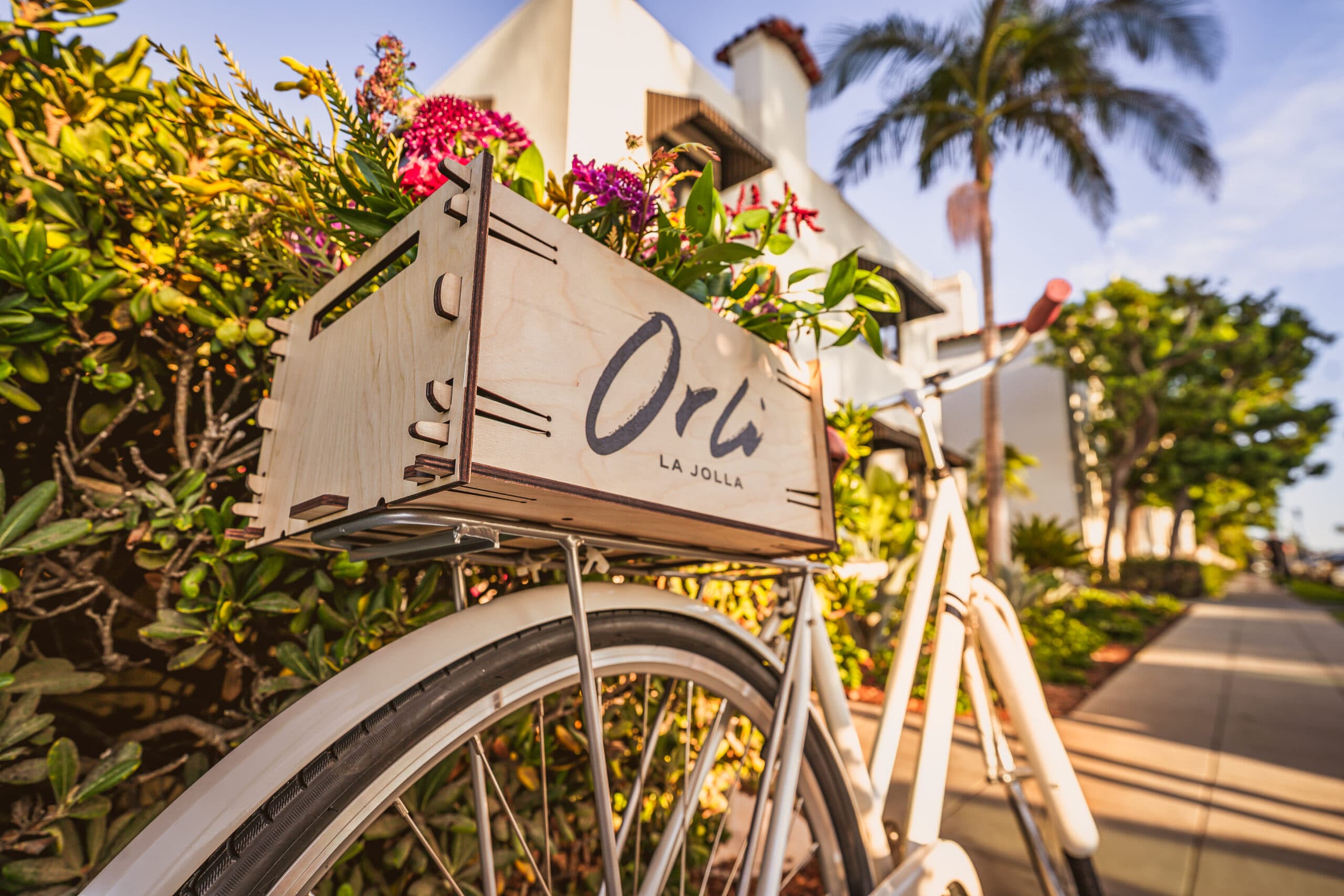 Bicycle with an Orli La Jolla branded wooden basket parked along a palm-lined sidewalk in a sunny coastal neighborhood