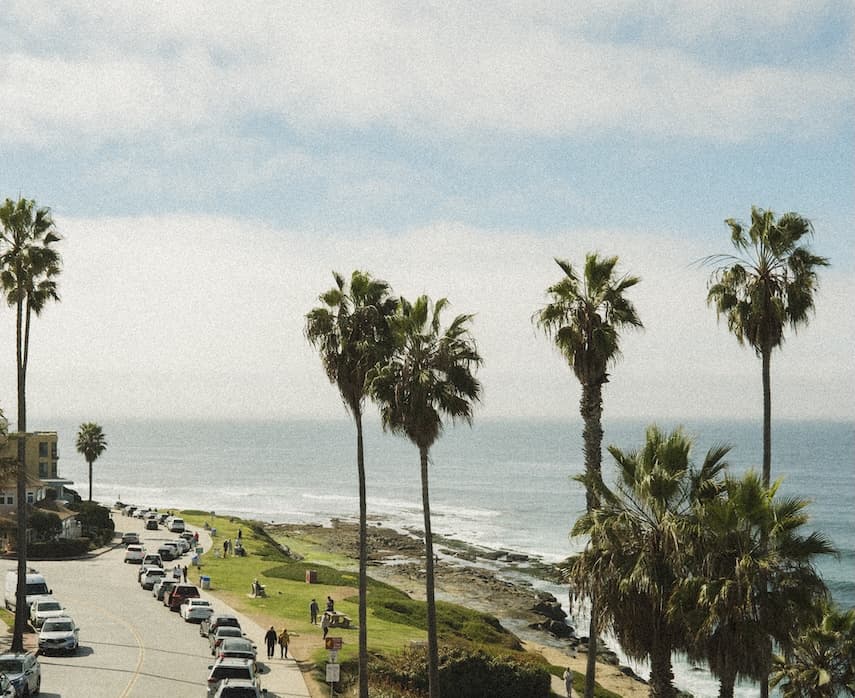 A sunlit stretch of coast where palm-lined paths meet the rhythm of the Pacific.