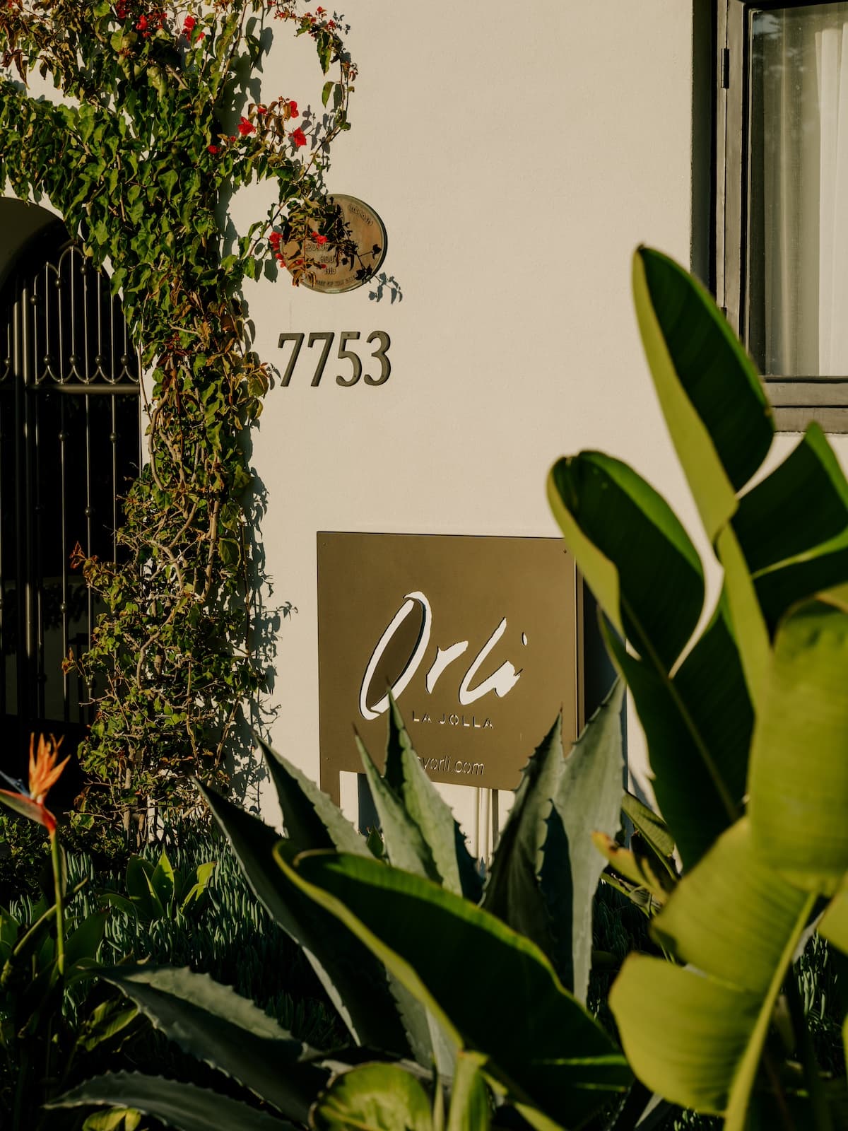 Orli la jolla front entrance