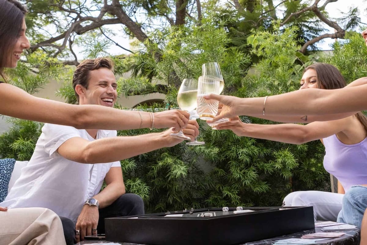 Group of friends clinking wine glasses together while seated outdoors surrounded by greenery