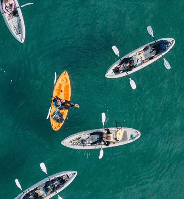 Aerial view of multiple kayakers paddling in calm green ocean water from above.