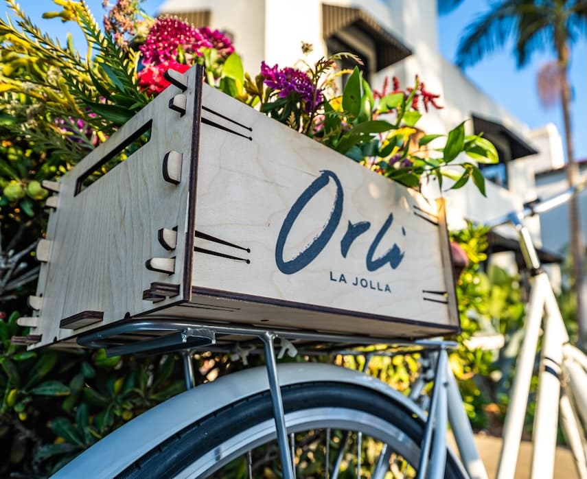 Orli Launch Event